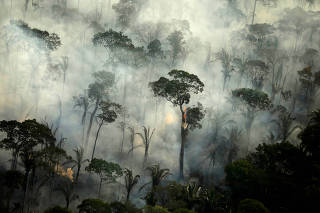 FILE PHOTO: Fires in the Amazon: a barrier to climate change up in smoke