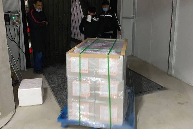 Carregamentos da vacina chinesa sendo embarcados na escala em Frankfurt, no domingo (19)