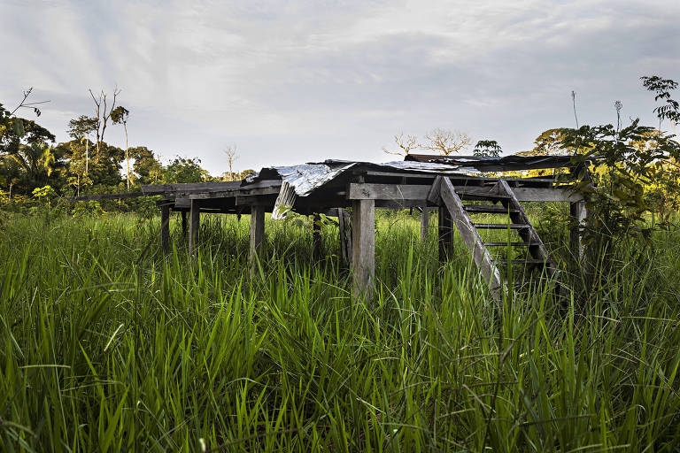 Construção queimada por equipe de fiscalização em área desmatada ilegalmente dentro do Projeto de Assentamento Extrativista Antimary.
