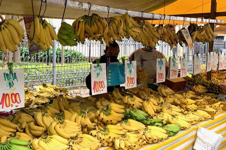 Bananas democráticas na feira livre