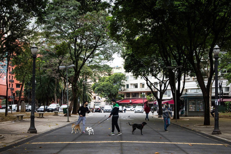 Pessoas caminham com cães em pista central, cinza, cerca por alguma árvores