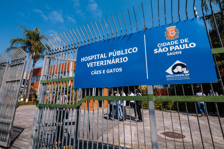 Hospital Veterinário Público da Zona Sul de SP passa a agendar consulta só às segundas-feiras