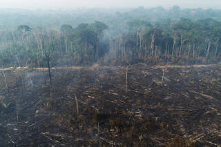 General view of a tract of the Amazon jungle which burns as it is cleared by loggers and farmers near Apui