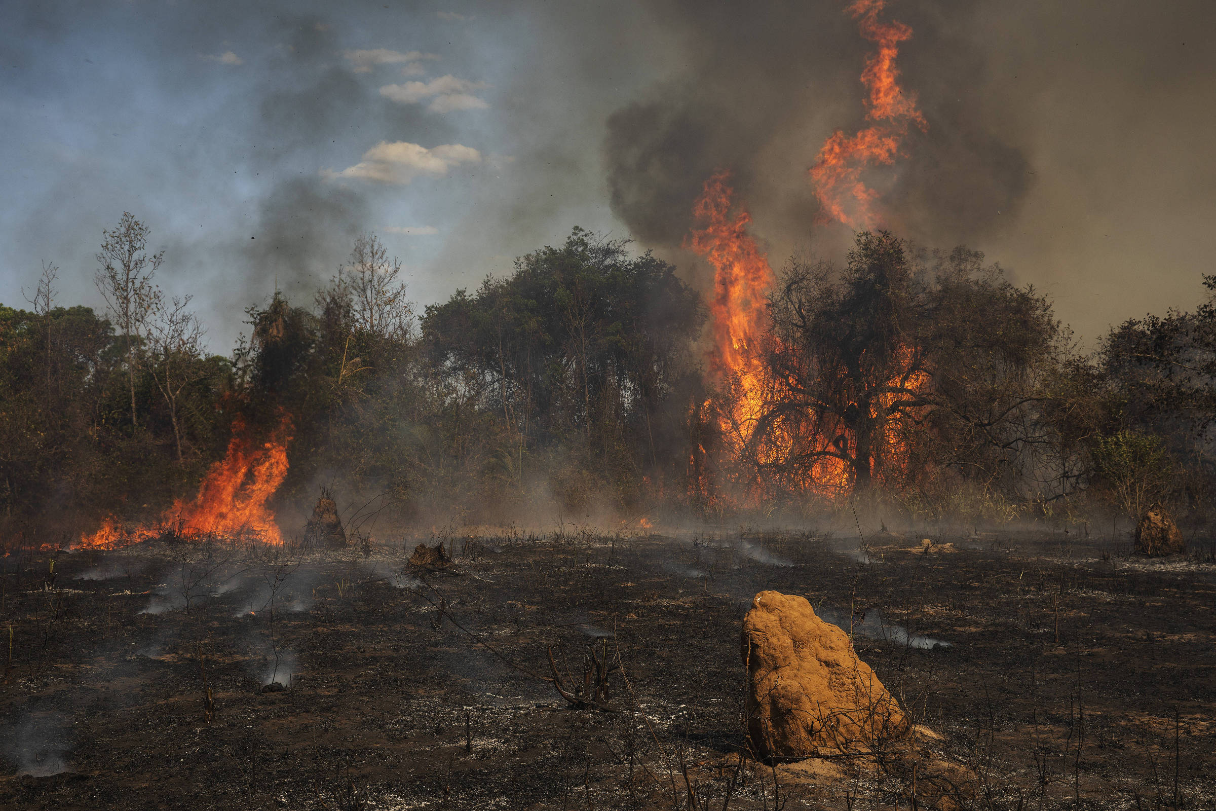 Ministério do Meio Ambiente interrompe combate a queimadas e desmatamento na Amazônia