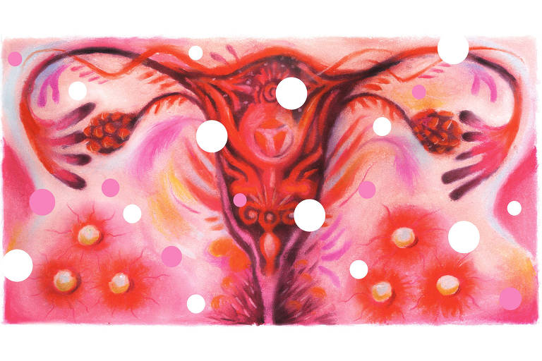 Ilustração em rosa do sistema reprodutor feminino