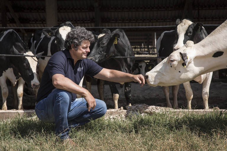 Roberto Jank, 56, responsável pela área de produção da Fazenda Agrindus, ao lado de algumas de suas vacas leiteiras 