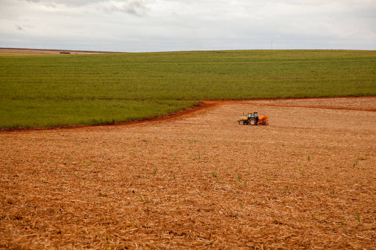 Trator circula por área de canavial já colhido em fazenda na região de Ribeirão Preto (SP); isolamento social tornou mão de obra mais escassa na safra deste ano