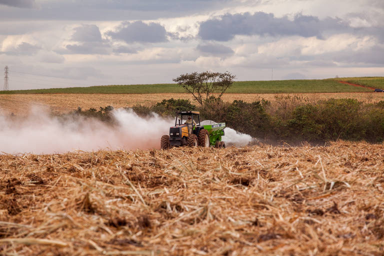 Trator trabalha sobre palha da cana que já foi colhida em fazenda de Ribeirão Preto, no interior de São Paulo; a safra deste ano atrasou por causa da
pandemia, o que afetou sua produtividade