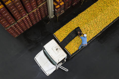 Exportadores de suco de laranja dizem que sobretaxa de Trump inviabiliza setor, que pode colapsar