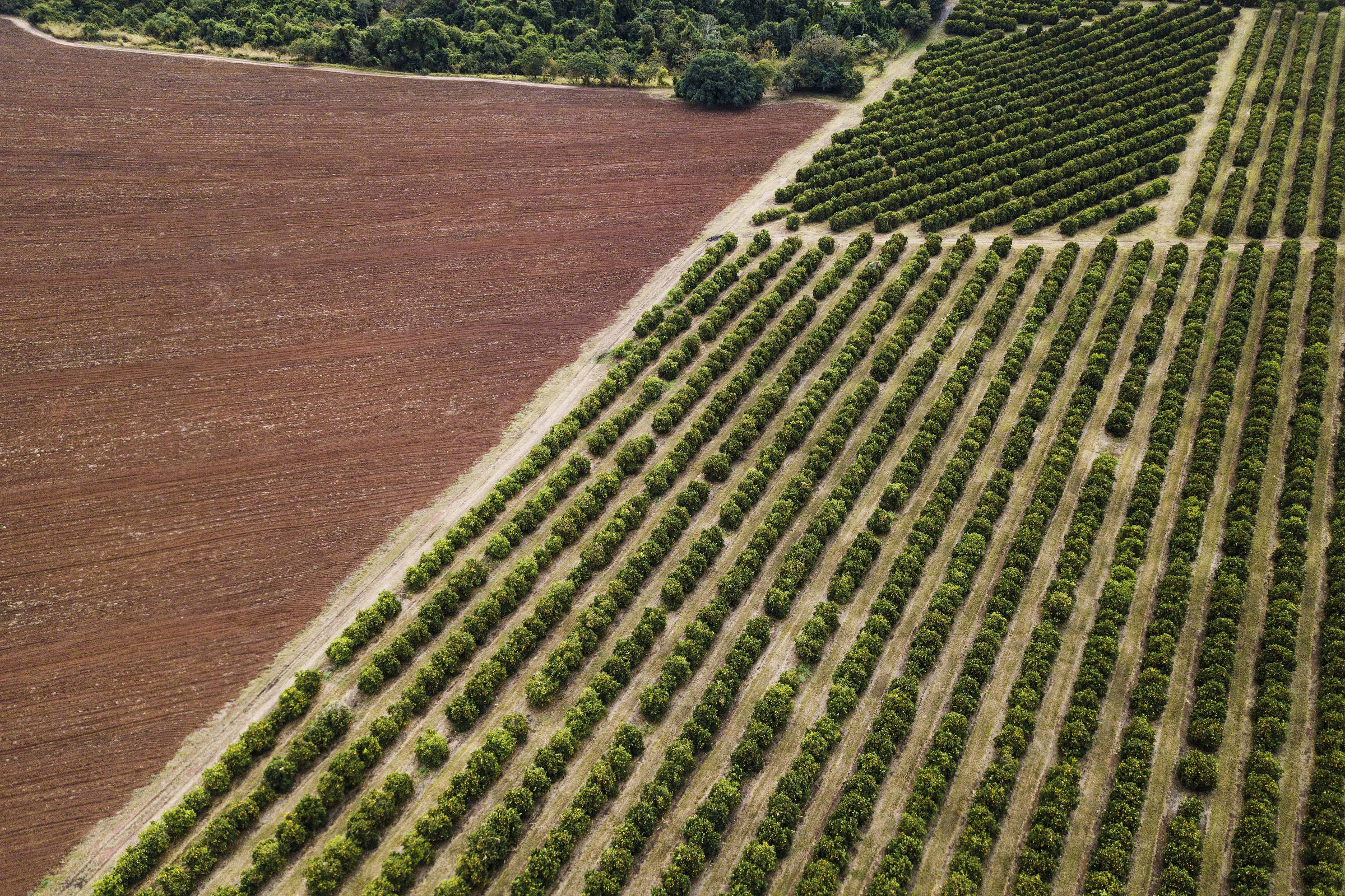 Para entidades do agro, tarifa é política e não tem base técnica