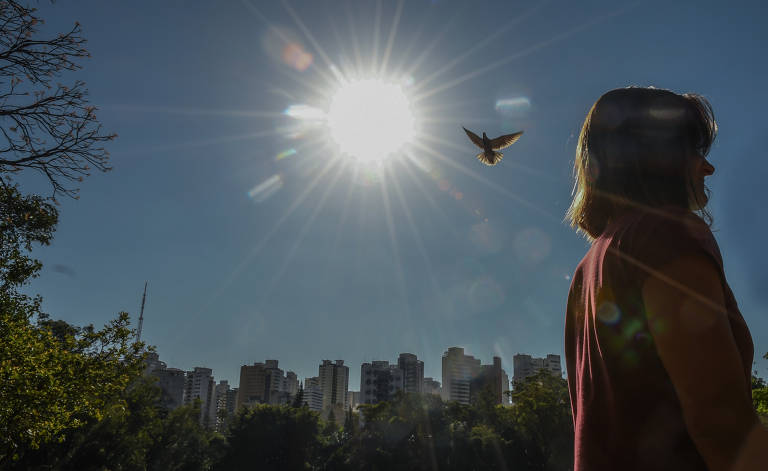 mulher jovem de perfil está em um parque em um dia enrolado; ao fundo, um pássaro voa alto no céu, próximo ao sol 