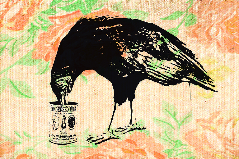 Em um fundo cm tons de laranja e verde, ilustração de um corvo preto bica lata de leite consensado