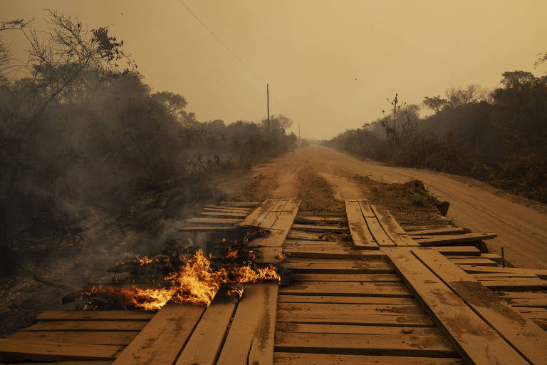 Ensaio fotográfico na Transpantaneira mostra paisagem de chamas, fumaça e cinzas