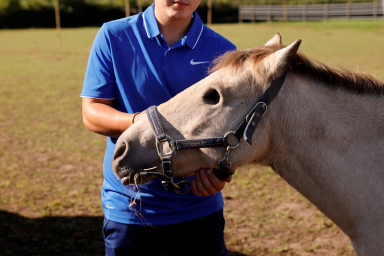 O enigma dos cavalos mutilados na França rural, Internacional