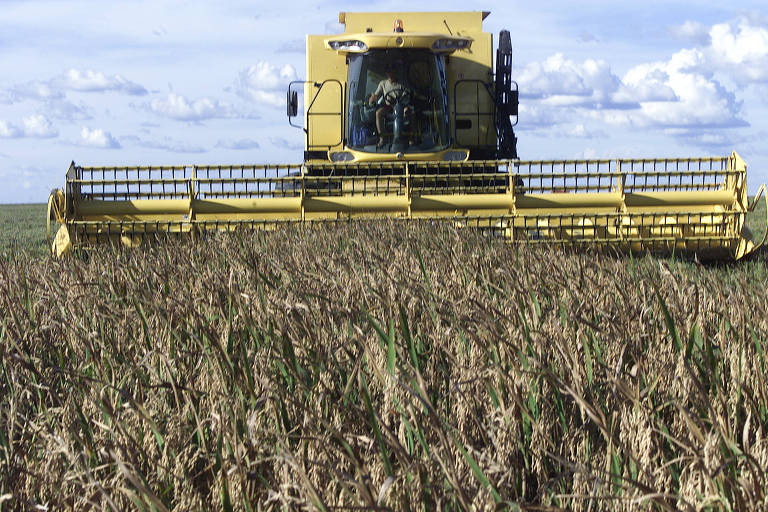 Máquina agrícola fazendo colheita de arroz, em Uruçuí (PI)