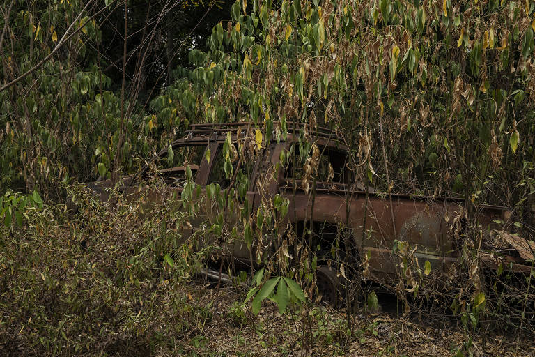 Quase três anos depois, ainda se veem restos do incêndio causado por garimpeiros, após fiscalização nas balsas de garimpo de ouro que operavam ilegalmente no rio Madeira, como essa viatura queimada