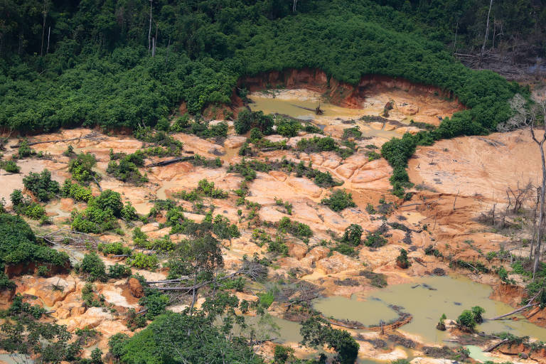 Garimpo ilegal dentro da terra indígena Yanomami, em Roraima, em 2020