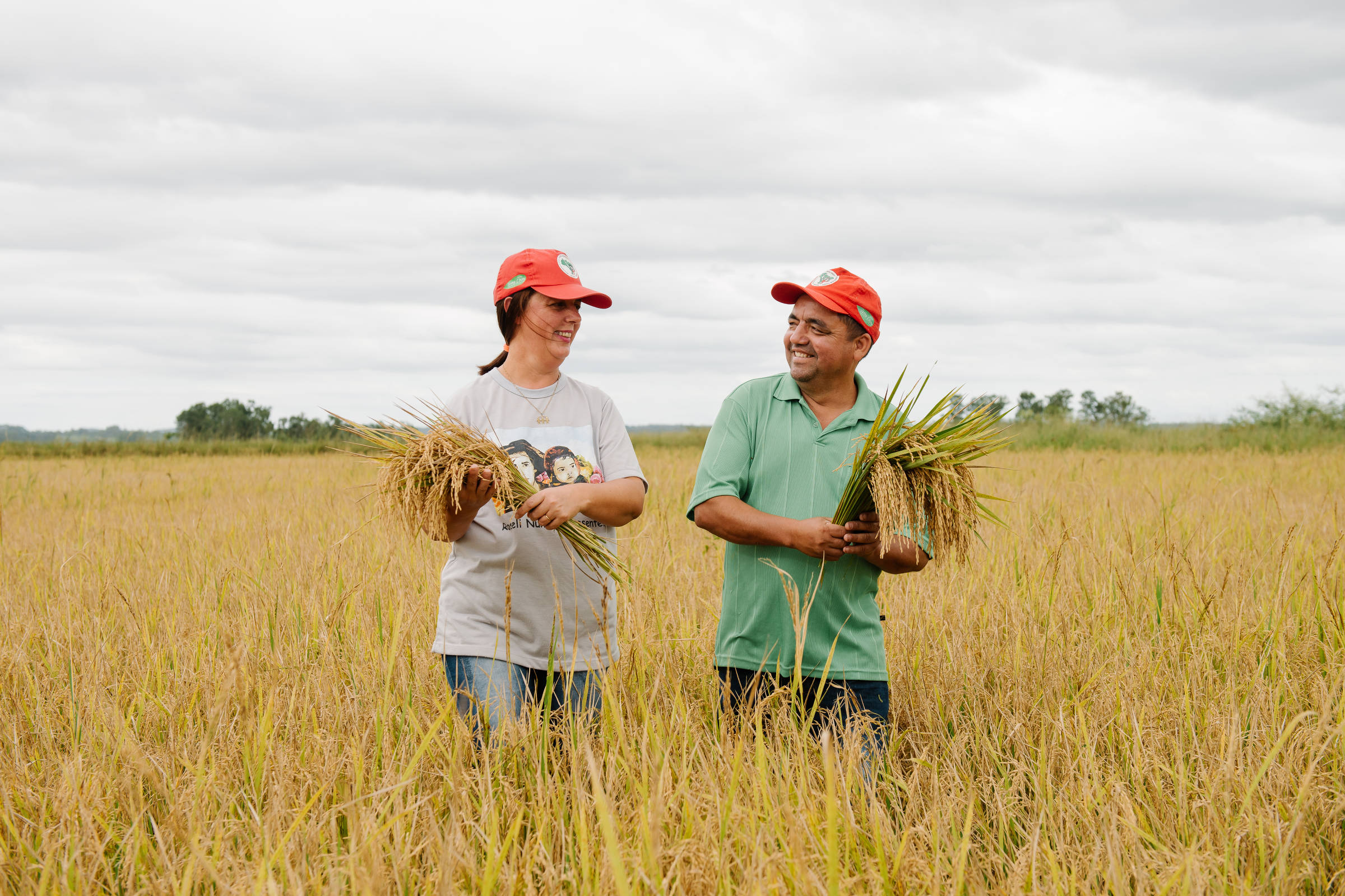 Governo Bolsonaro admite ao STF paralisia da reforma agrária, com acúmulo de diferentes recordes negativos