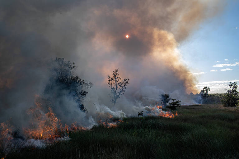 Fogo consome o Cerrado durante expedição da Rainforest Foundation para monitorar a produção de soja no Brasil e sua relação com o desmatamento.