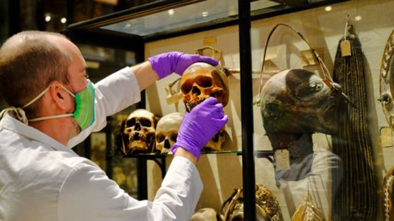 A mórbida coleção de cabeças humanas que museu no Reino Unido decidiu deixar de exibir