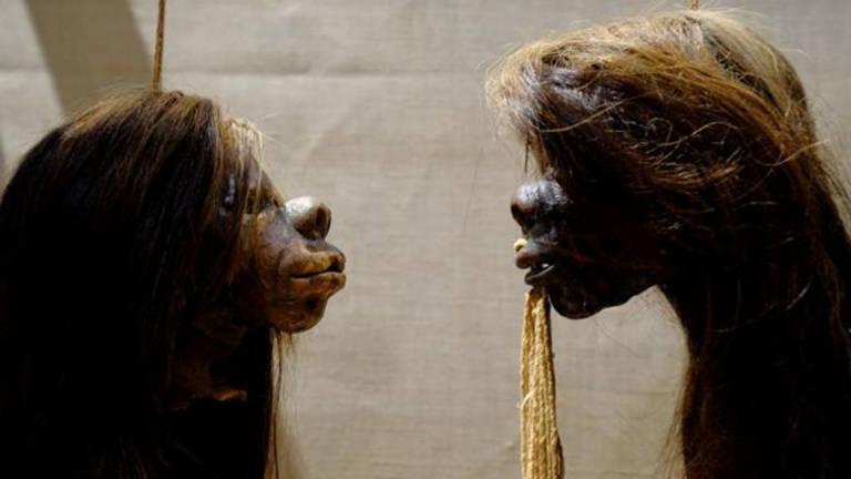 A mórbida coleção de cabeças humanas que museu no Reino Unido decidiu deixar de exibir