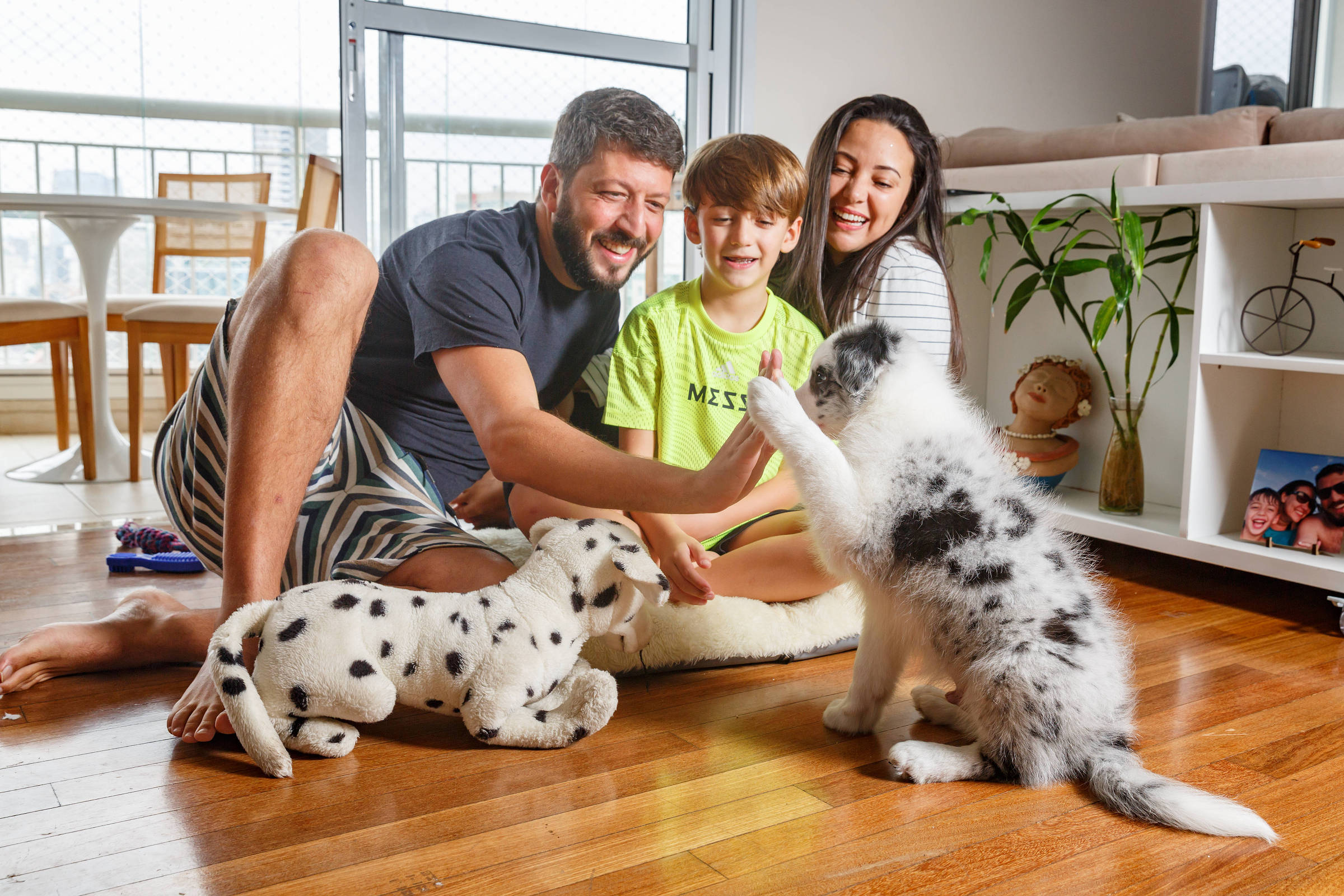 Gatos de apartamento: aspetos a considerar para ter um gato feliz