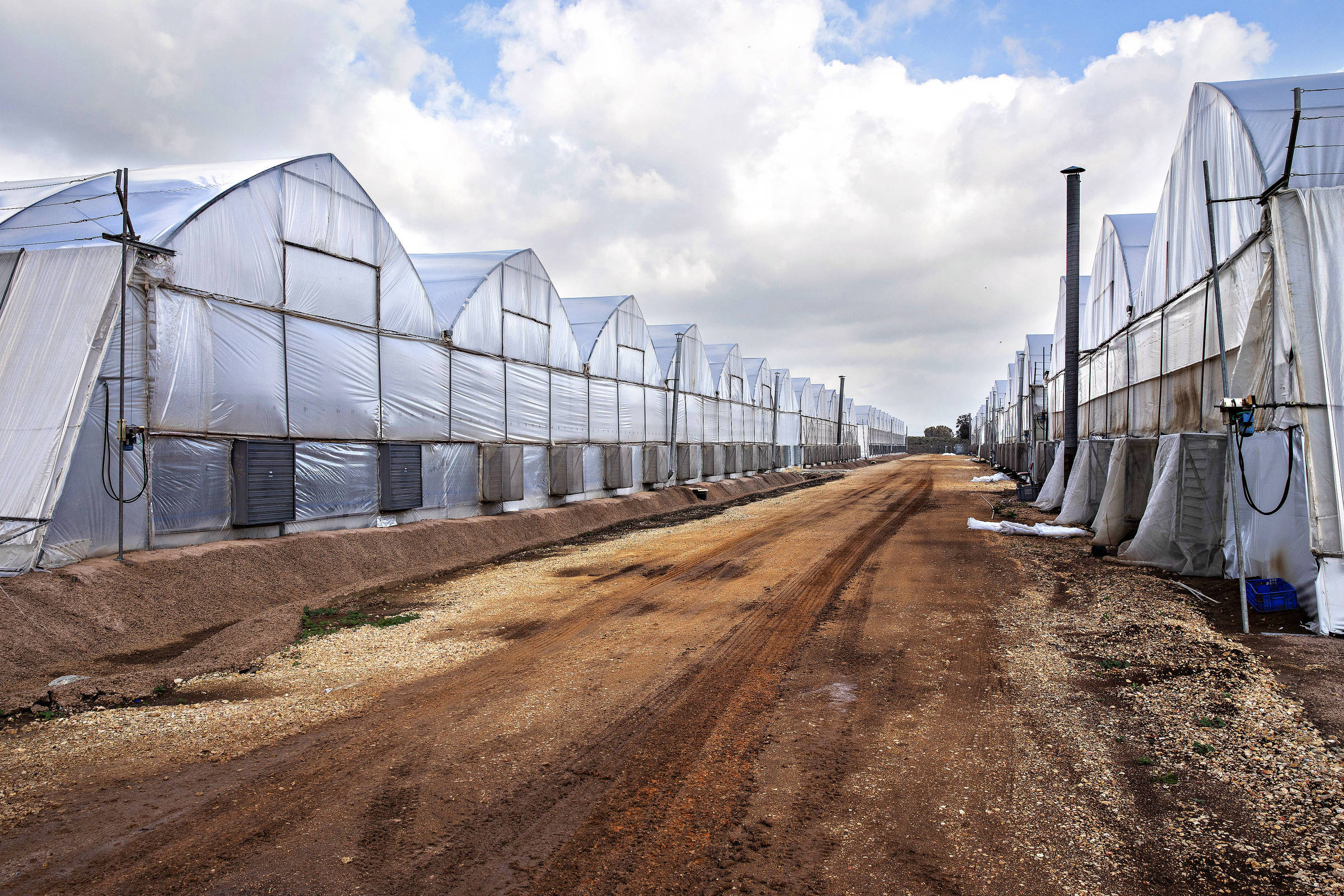 Invernaderos utilizados para el cultivo de cannabis en Breath of Life Pharma, cerca de Tel Aviv