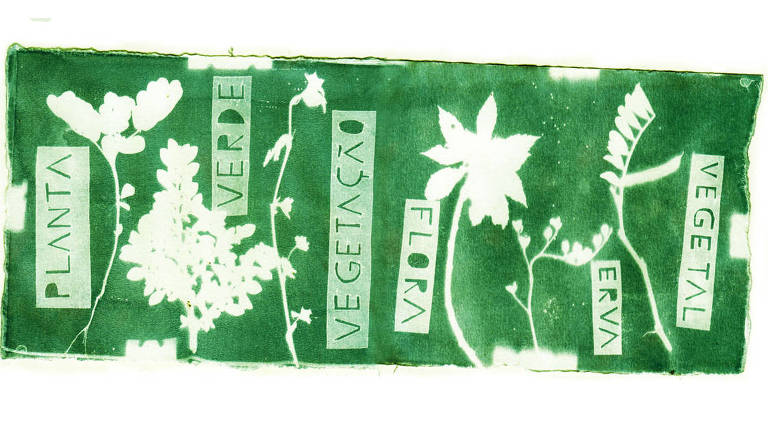 Pedaço de material verde e plano com silhuetas de plantas em branco. Há palavras "planta", "verde, vegetação", "flora", "erva"e "vegetal"