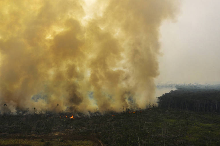 Em primeiro plano, área de vegetação. Mais ao fundo, uma linha de fogo e fumaça até o alto da foto.