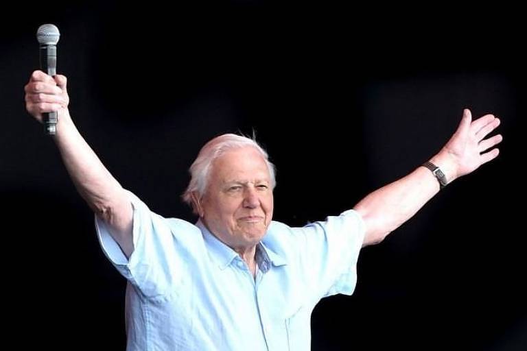 David Attenborough é querido por jovens: no ano passado, foi recebido como uma estrela de rock durante sua aparição surpresa no festival de música Glastonbury