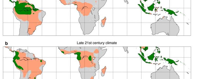 Dois mapas das regiões tropicais do mundo, mostrando que floresta amazônica se reduz com o aquecimento global. enquanto as da África e da Ásia sofrem menos