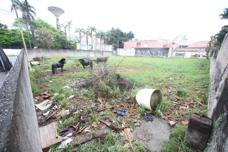 Justiça barra troca de área de UBS por terreno em Santo André