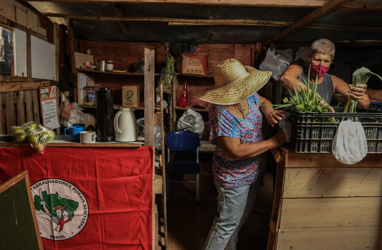 Mulheres com hortaliças e verduras do acampamento do MST em Valinhos, interior de São Paulo
