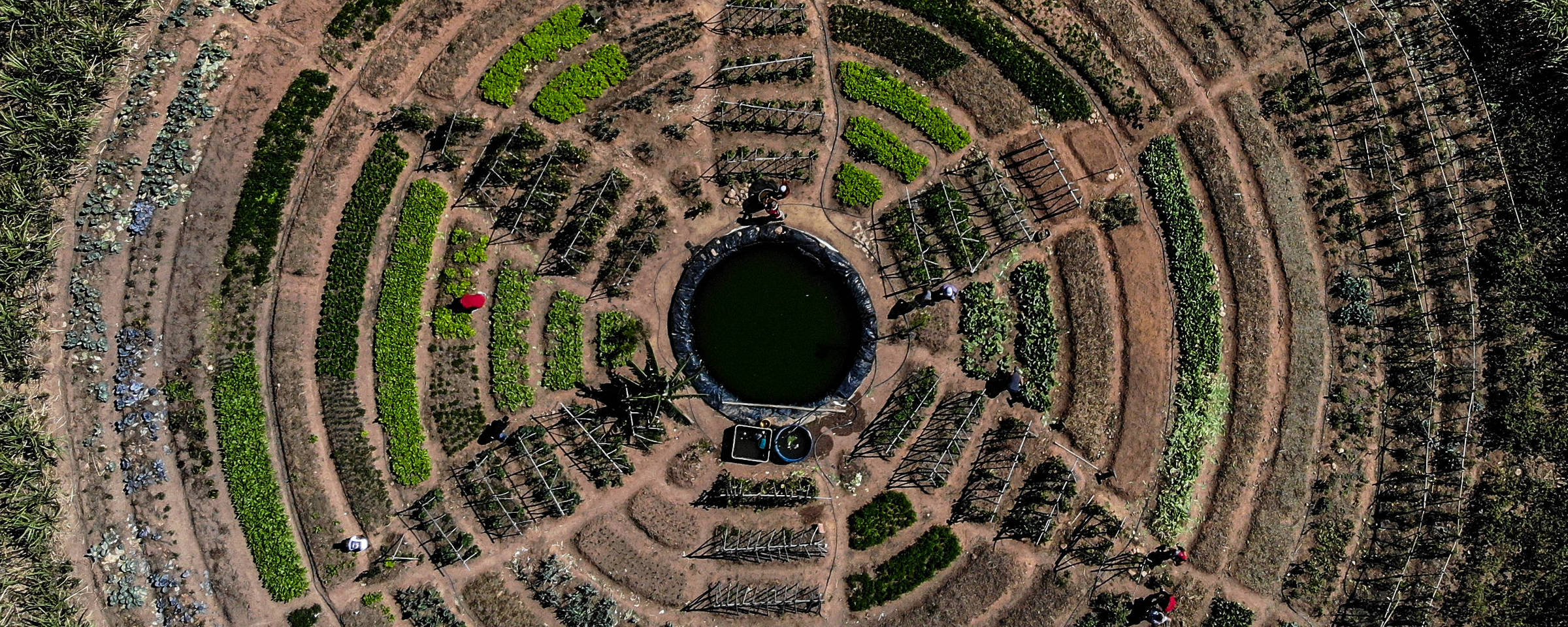 Imagem aérea de um horta em formato de flor