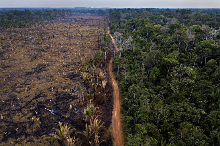 A imagem mostra uma área de desmatamento na Amazônia, com uma estrada de terra que separa uma região que foi queimada e desmatada à esquerda, e uma floresta densa e verde à direita. O céu está claro, e a transição entre as áreas desmatadas e a floresta é visível.
