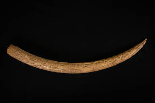A carved elephant tusk originally from Benin, part of the Benin bronzes collection at the British Museum in London, Jan. 14, 2020. (Suzanne Plunkett/The New York Times)