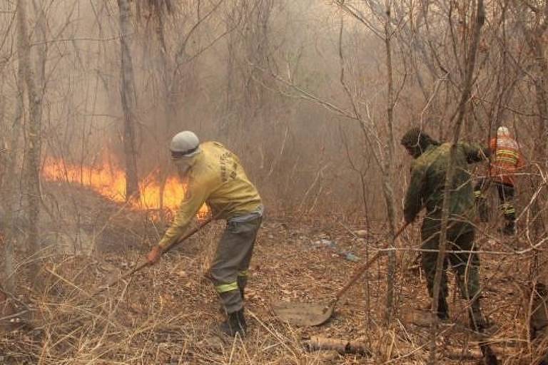 Novos incêndios foram registrados em alguns pontos do Pantanal nos últimos dias, após fogo diminuir no bioma