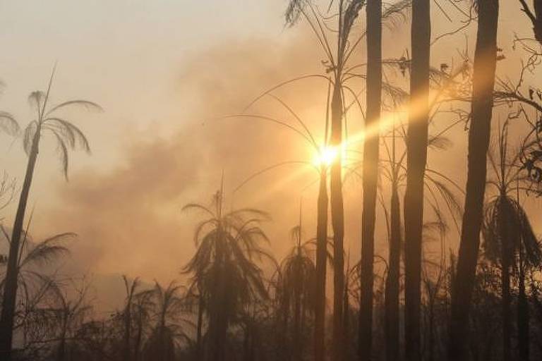 Importante área de preservação da biodiversidade no Pantanal, Serra do Amolar sofre com queimadas