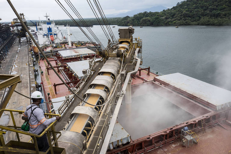 Navio com destino à China é carregado com grãos de milho no Porto de Santos