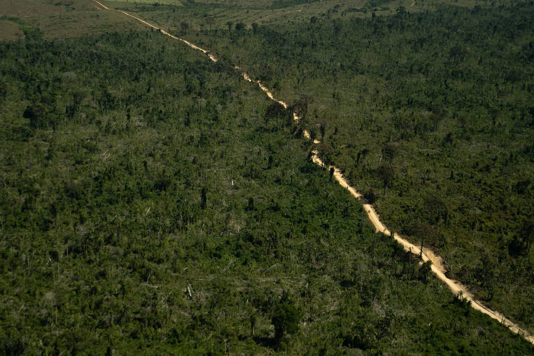 Estrada em meio a área de floresta pública sem destinação, em Novo Progresso, no Pará