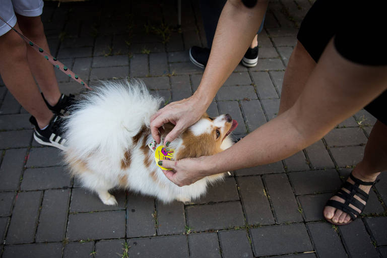 Movimentação de eleitores na PUC, no bairro de  Perdizes, em São Paulo
