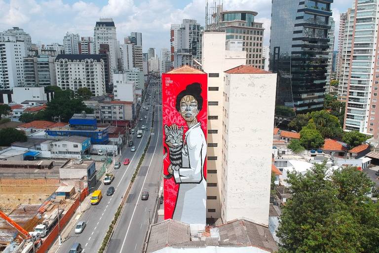 São Paulo ganha grafite de gato com veterinária feito pelo artista Tito Ferrara
