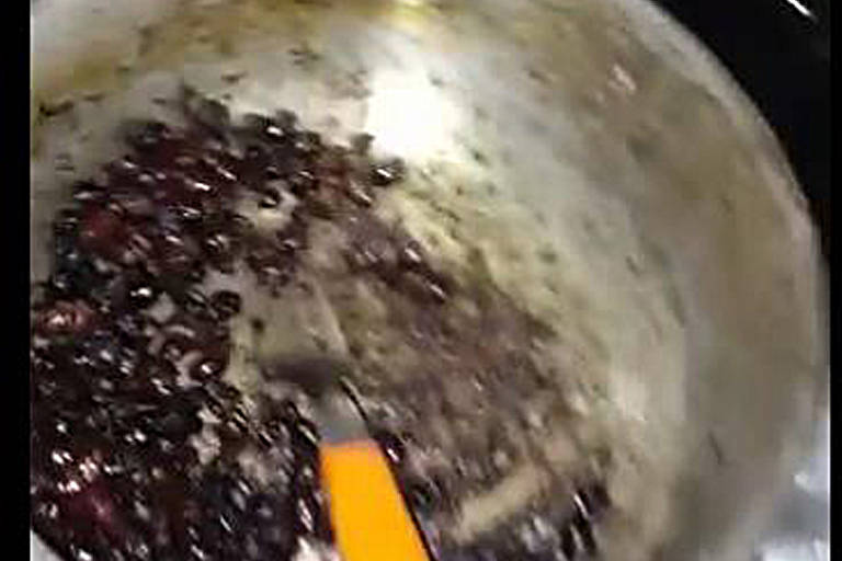 "Sopa" de formiga tanajura que alguns trabalhadores teriam preparado por estarem passando fome no alojamento