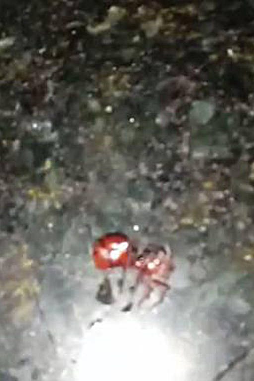 Formiga tanajura, parte de sopa que alguns trabalhadores teriam preparado por estarem passando fome no alojamento