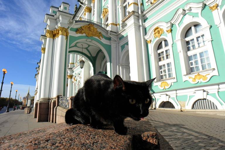 Gato preto na frente do museu Hermitage, em São Petesburgo