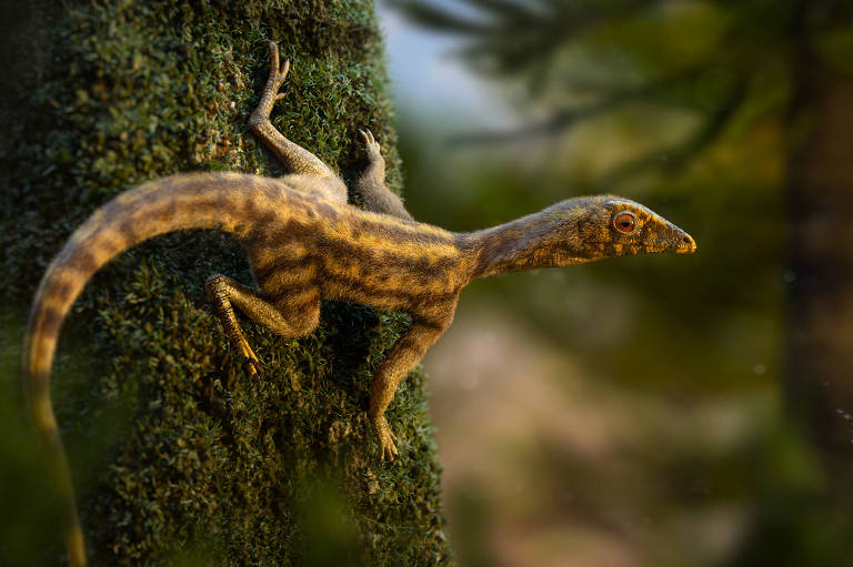 Répteis que viviam em árvores ajudam a desvendar origem dos pterossauros