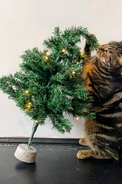 Decoração de árvore de Natal: 7 dicas para quem tem gatos