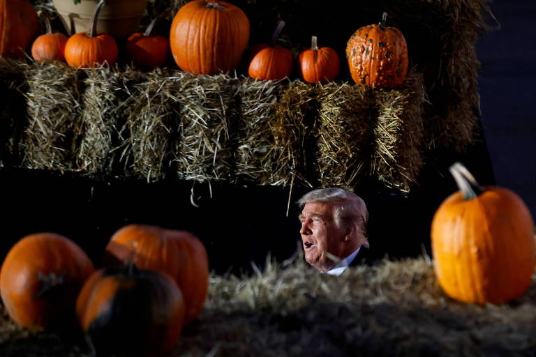 O presidente americano, Donald Trump, entre abóboras num evento de campanha no Dia das Bruxas, na Pensilvânia