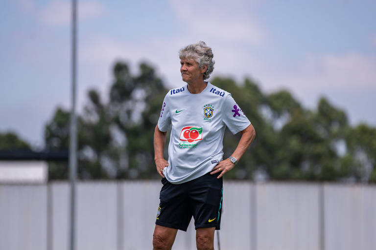 A carreira de Pia Sundhage