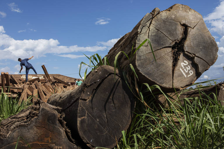 BNDES barra crédito rural para produtores com embargo por desmatamento